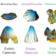 False-color 3D images showing the range in shape of crocodyliform teeth.
